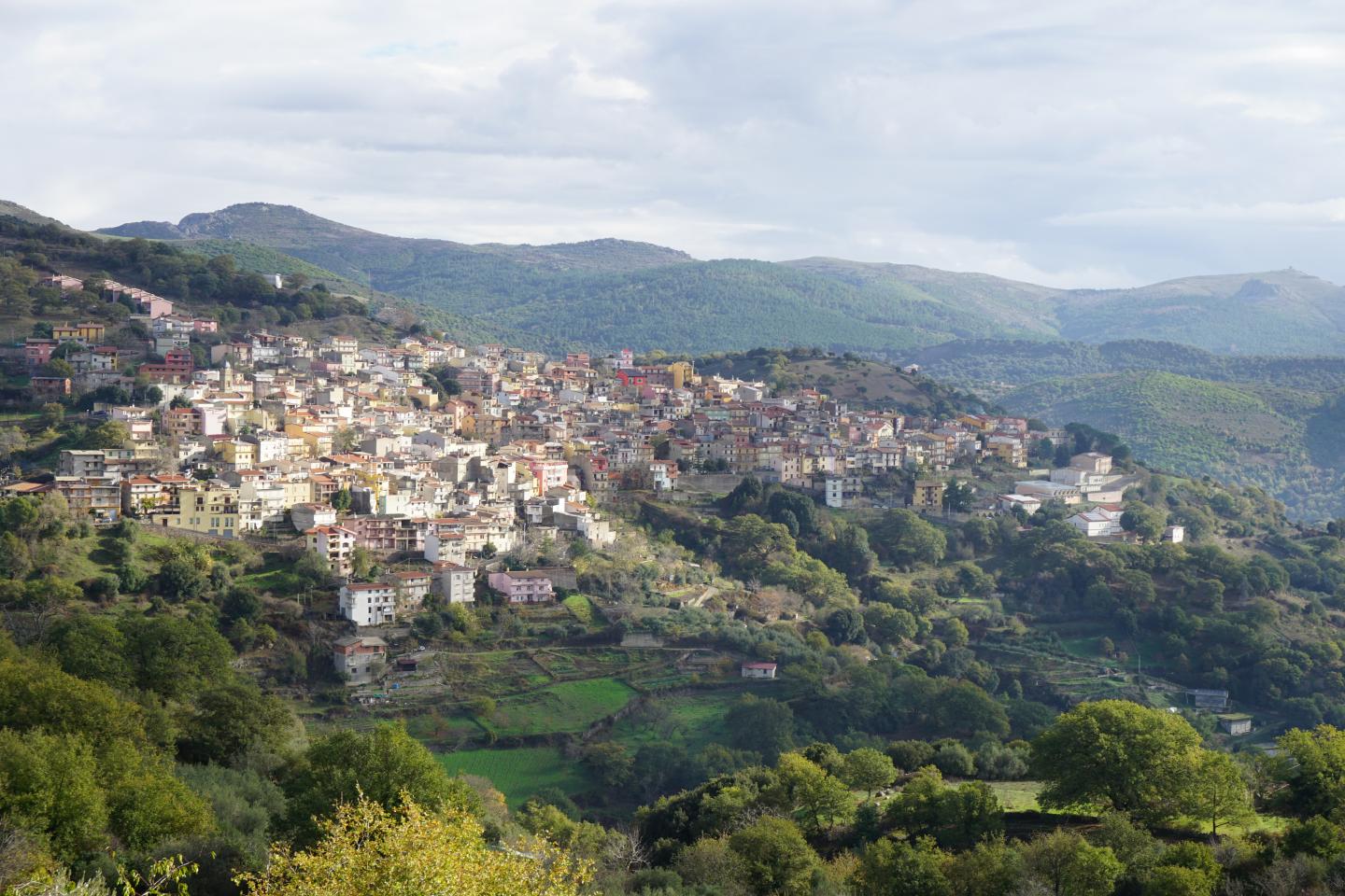 seulo