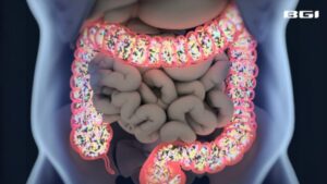I Firmicutes dell’intestino: alleati invisibili contro l’osteoporosi