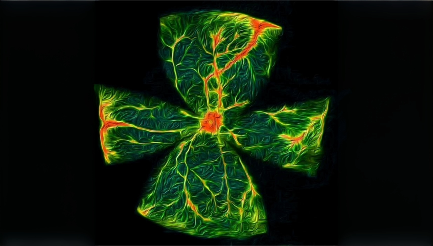 Rappresentazione artistica della retina di un topo diabetico che mostra la vascolarizzazione retinica (giallo) con aumentata perdita (rosso) in seguito a un episodio transitorio di ipoglicemia (basso livello di glucosio) indotto dall'insulina. Credito Isabella Sodhi, McDonogh School