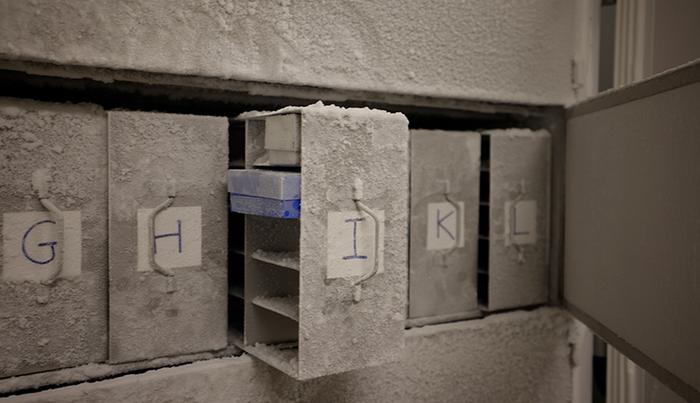 I campioni microbici raccolti nell'ambito della Microbiota Vault Initiative vengono conservati temporaneamente in condizioni criogeniche presso l'Istituto di microbiologia medica dell'Università di Zurigo. Credito Iniziativa Microbiota Vault